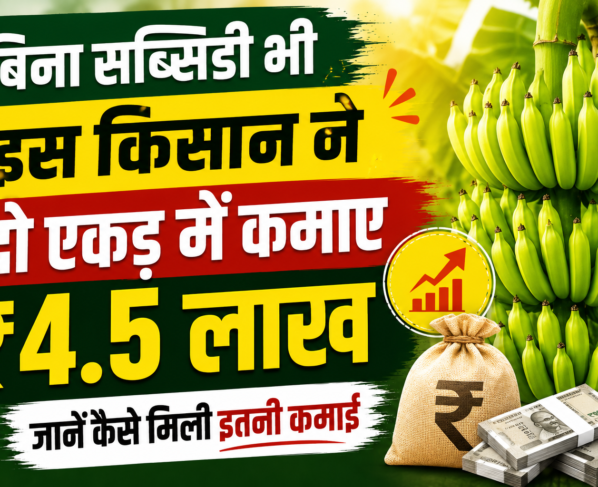 Begusarai Farmer Neeraj Kunwar Banana Farming Success Story