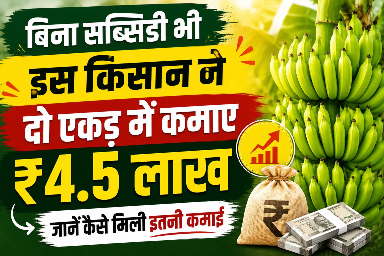 बिना सब्सिडी भी इस किसान ने दो एकड़ में कमाए ₹4.5 लाख, जानें कैसे मिली इतनी कमाई Begusarai Farmer Neeraj Kunwar Banana Farming Success Story