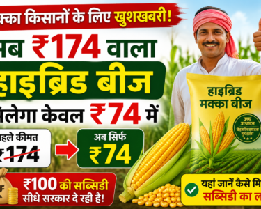 Bihar Hybrid Maize Seed Subsidy
