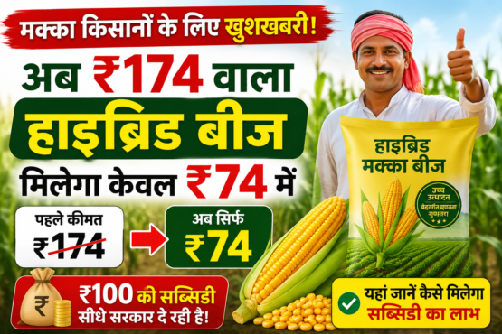 Bihar Hybrid Maize Seed Subsidy