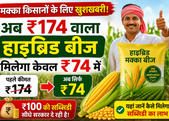 Bihar Hybrid Maize Seed Subsidy