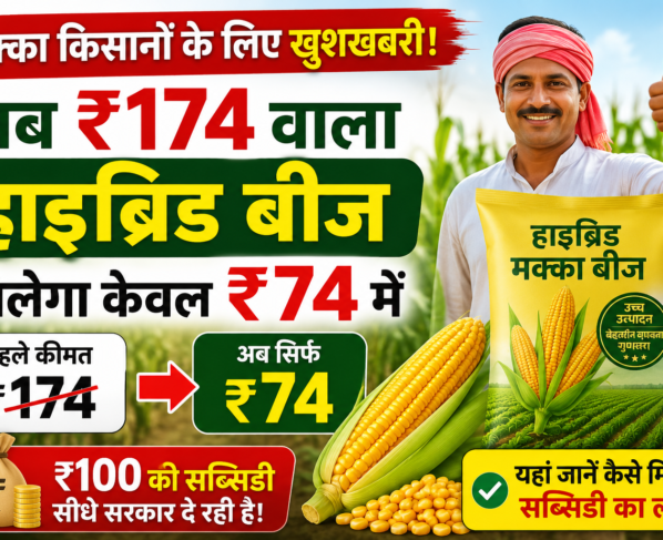 Bihar Hybrid Maize Seed Subsidy