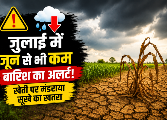 Monsoon Rainfall Alert July