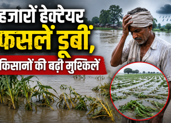 Assam Flood 2026