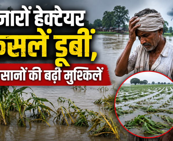 Assam Flood 2026