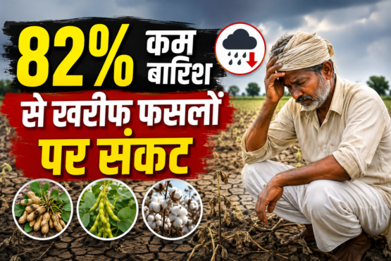 Gujarat Rainfall Deficit