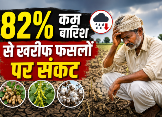 Gujarat Rainfall Deficit