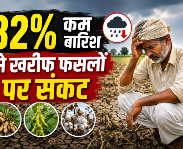 Gujarat Rainfall Deficit