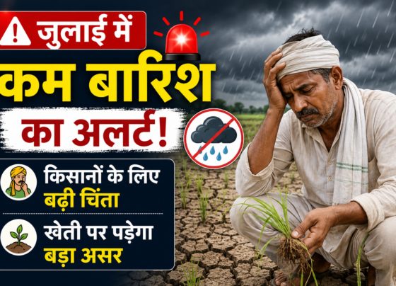 IMD Rain Forecast