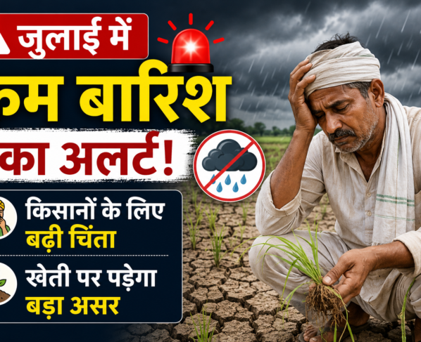 IMD Rain Forecast