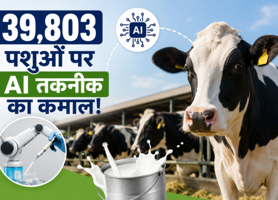 Dairy Farming India