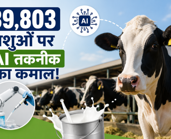 Dairy Farming India