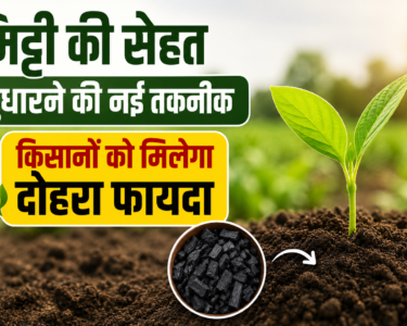 Carbon Farming