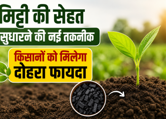 Carbon Farming