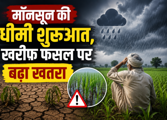 IMD Weather Update