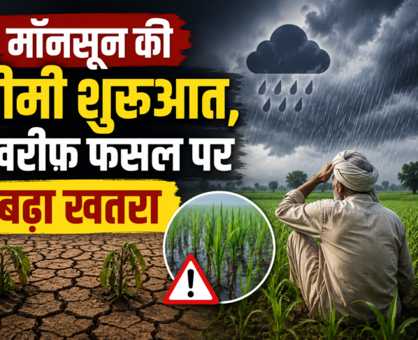 IMD Weather Update