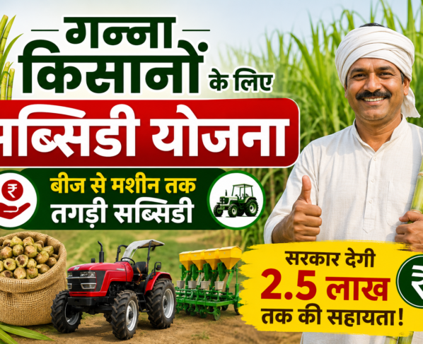 Sugarcane Farming