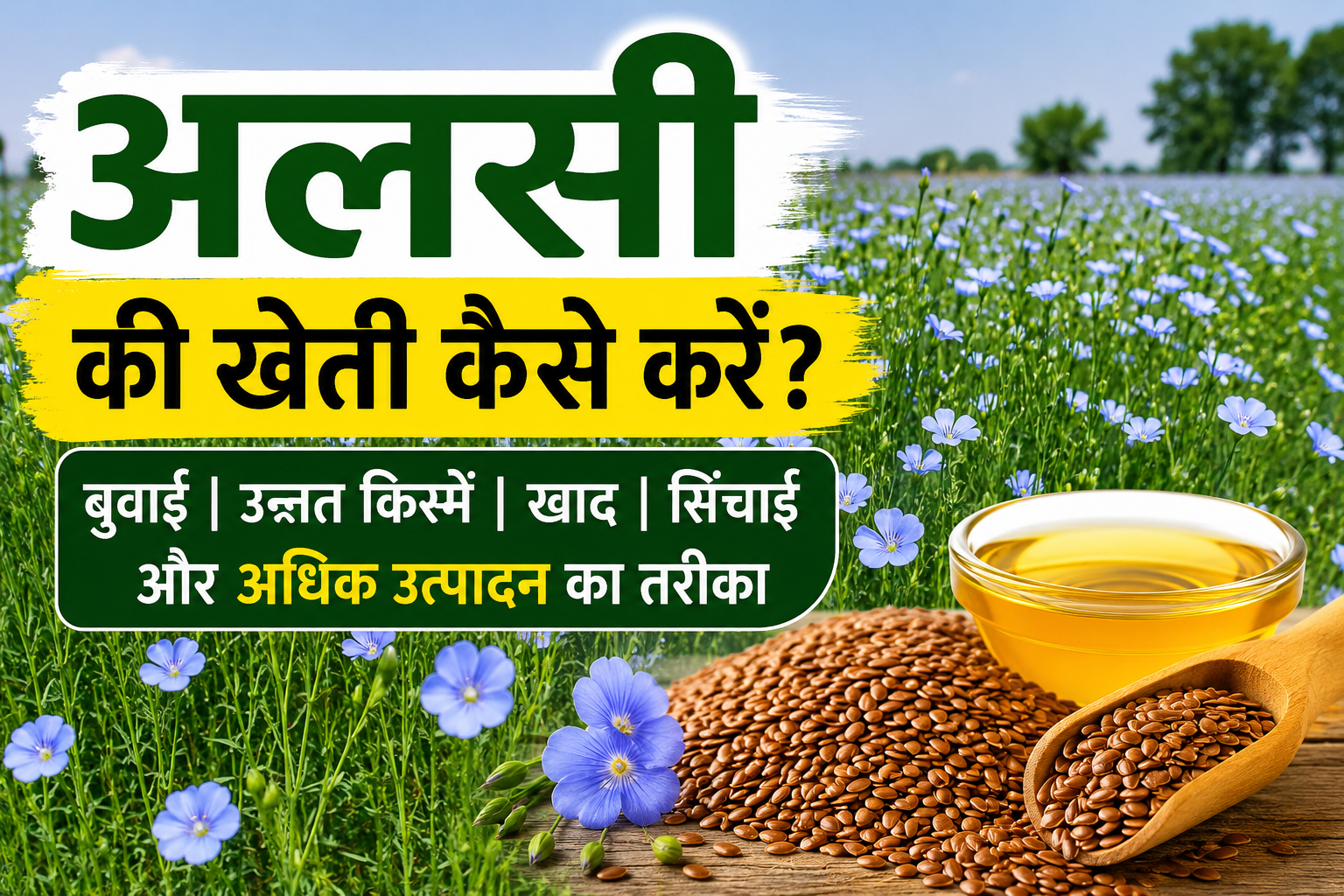 अलसी की खेती कैसे करें? जानें बुवाई, उन्नत किस्में, खाद, सिंचाई और अधिक उत्पादन Flaxseed Farming