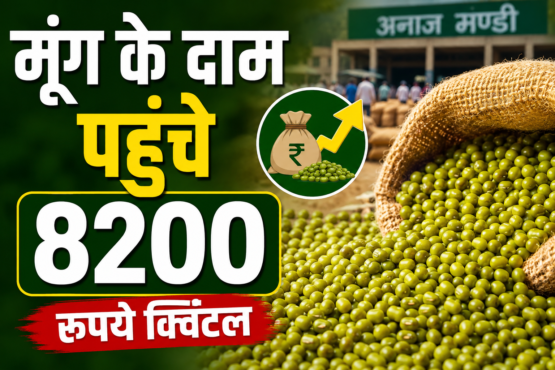 Moong Prices