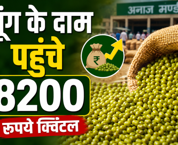 Moong Prices