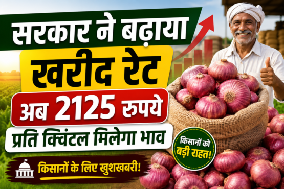 Onion Price