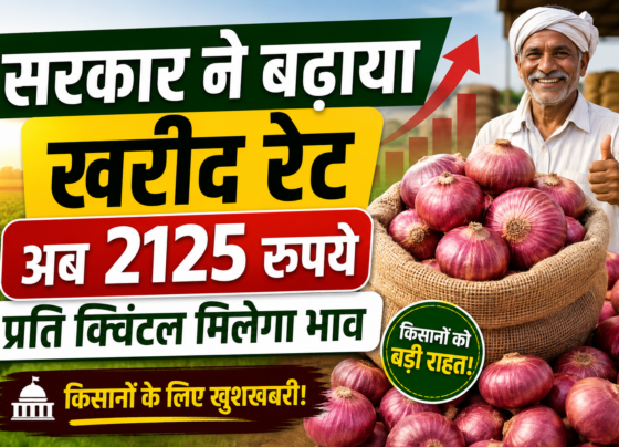 Onion Price
