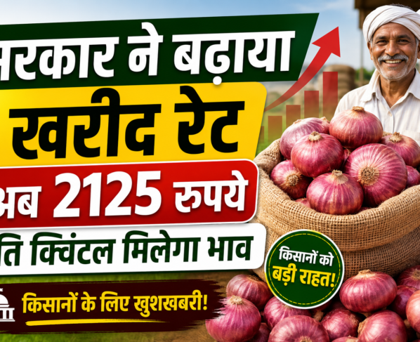Onion Price