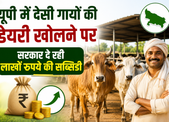 UP Dairy Subsidy Scheme 2026