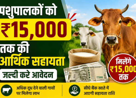 Dairy Farmer Scheme UP