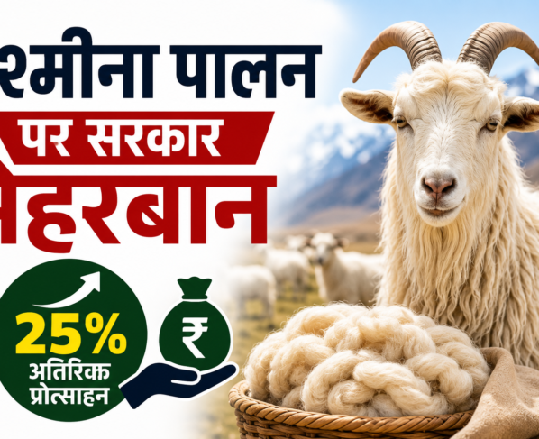 Pashmina Farmer Scheme