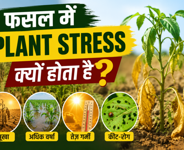 Fasal Mein Plant Stress