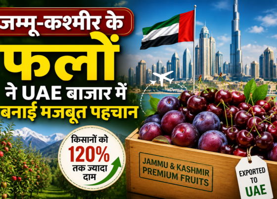 Jammu Kashmir Fruits
