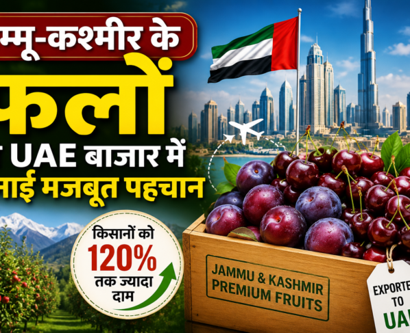 Jammu Kashmir Fruits