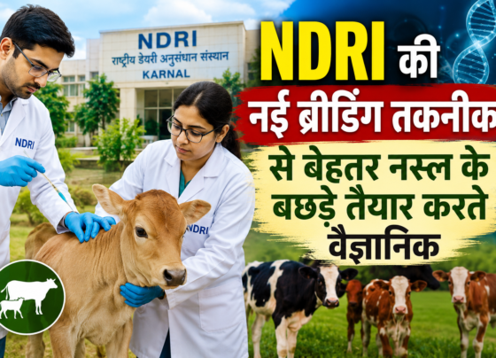 NDRI Breeding Technology