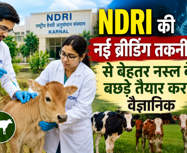 NDRI Breeding Technology