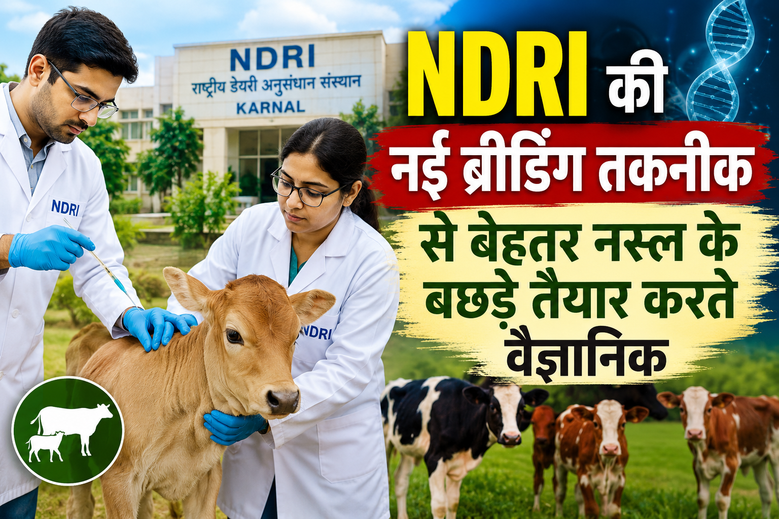 NDRI की नई ब्रीडिंग तकनीक से बेहतर नस्ल के बछड़े तैयार करते वैज्ञानिक, NDRI Breeding Technology
