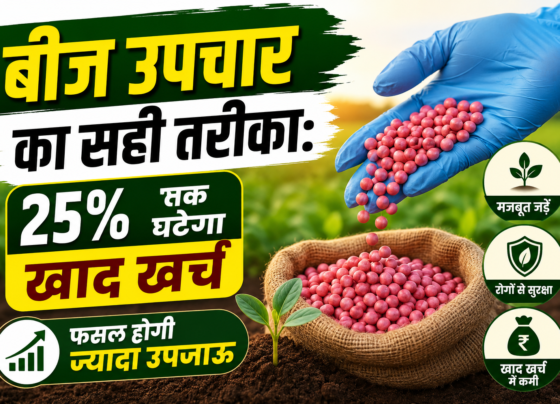 How to Do Seed Treatment Before Sowing