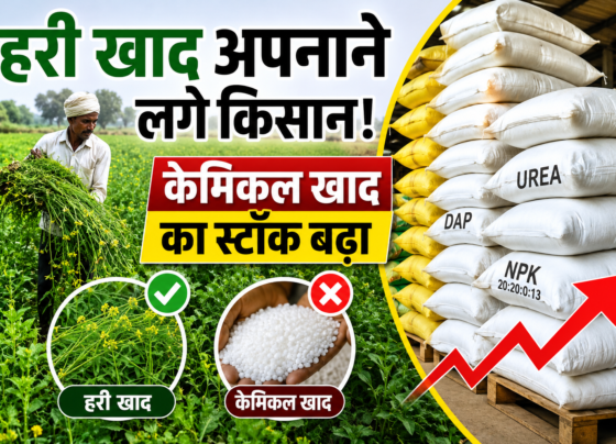 Green Fertilizer Benefits