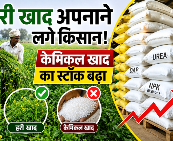 Green Fertilizer Benefits