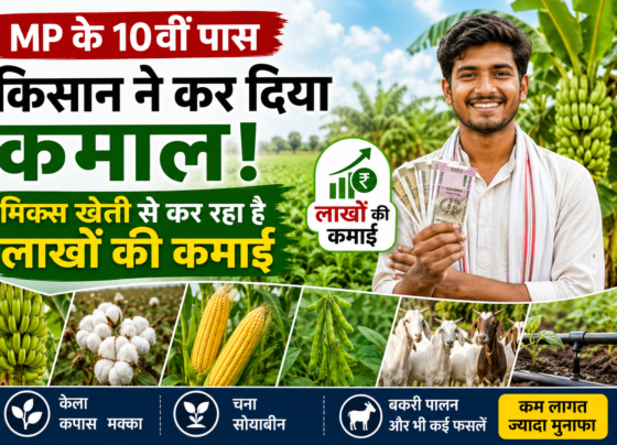 Kiran More Mixed Farming Success Story Burhanpur MP