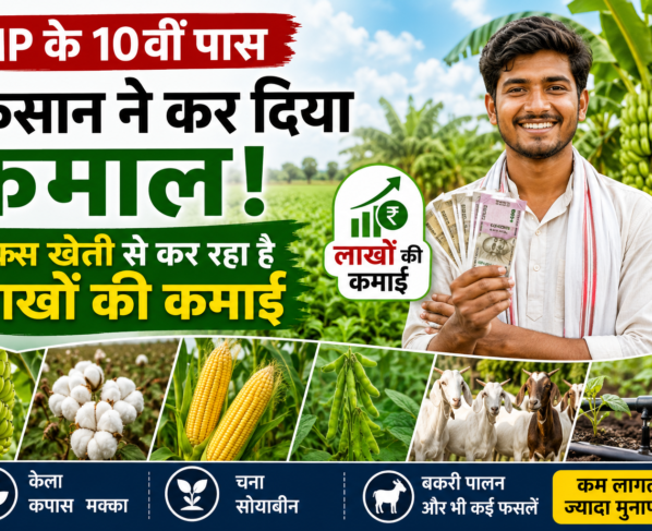 Kiran More Mixed Farming Success Story Burhanpur MP