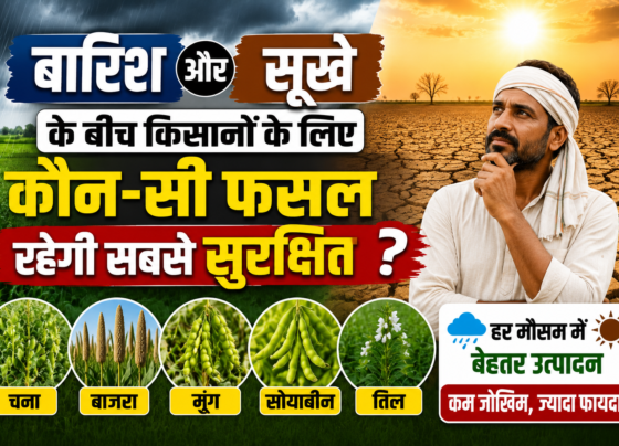 El Nino Impact on Farmers