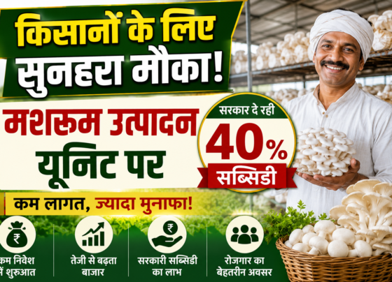 Mushroom Farming Subsidy