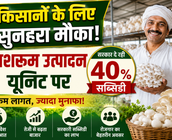Mushroom Farming Subsidy