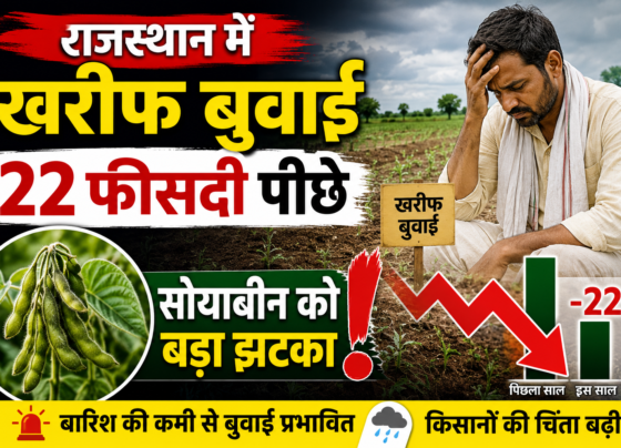 Rajasthan Kharif Sowing Update 2026