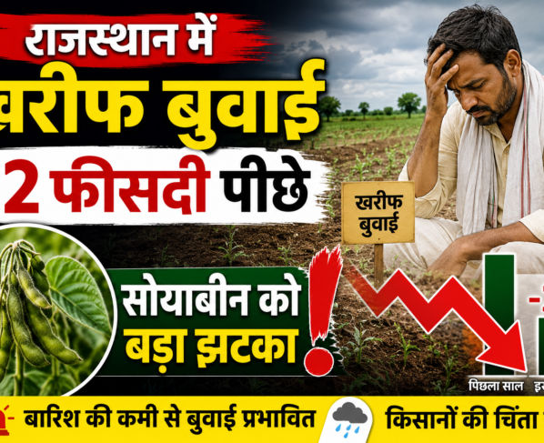 Rajasthan Kharif Sowing Update 2026