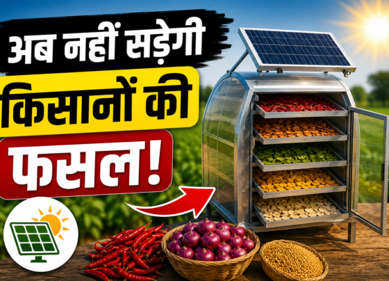 Solar Drying Technology