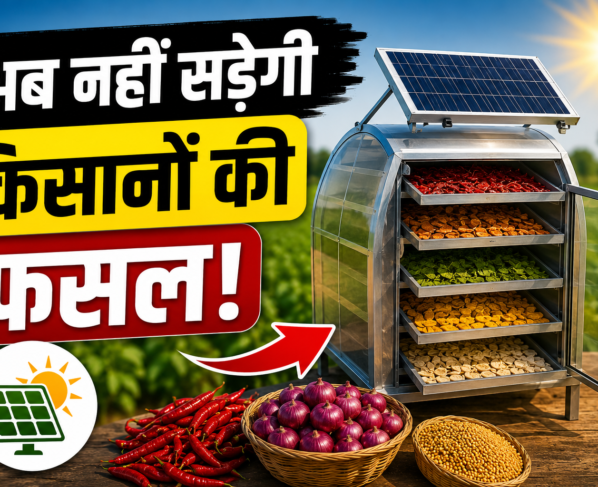 Solar Drying Technology