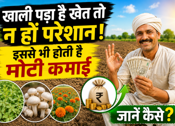 Khali Khet Me Plant Nursery Business Kaise Shuru Kare