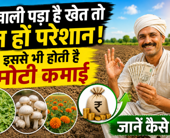 Khali Khet Me Plant Nursery Business Kaise Shuru Kare